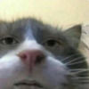 hxnny_bxnch